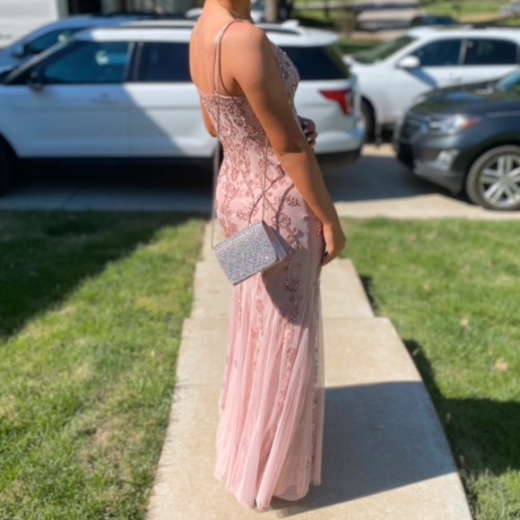 Blush David’s Bridal Long Dress - Picture 2 of 2